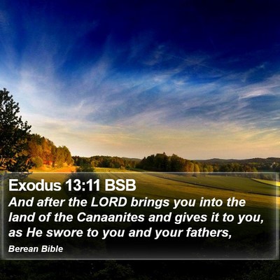 Exodus 13:11 BSB Bible Verse Image