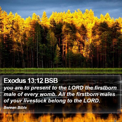Exodus 13:12 BSB Bible Verse Image