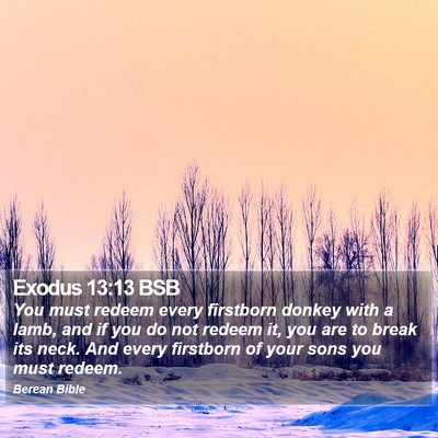Exodus 13:13 BSB Bible Verse Image