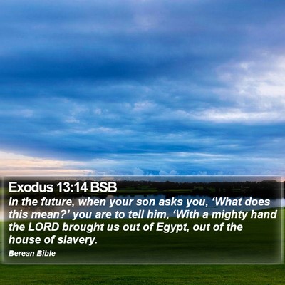 Exodus 13:14 BSB Bible Verse Image