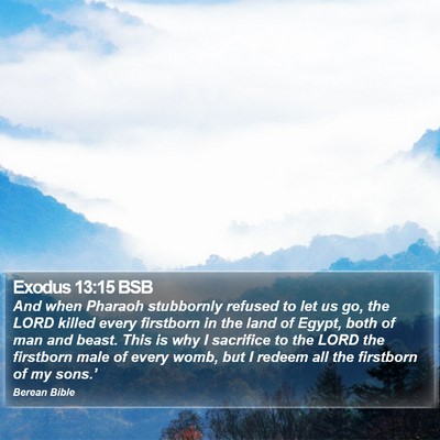 Exodus 13:15 BSB Bible Verse Image