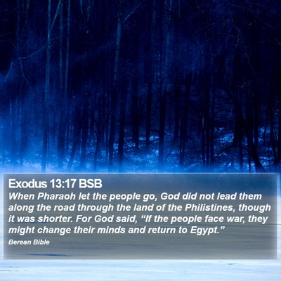 Exodus 13:17 BSB Bible Verse Image