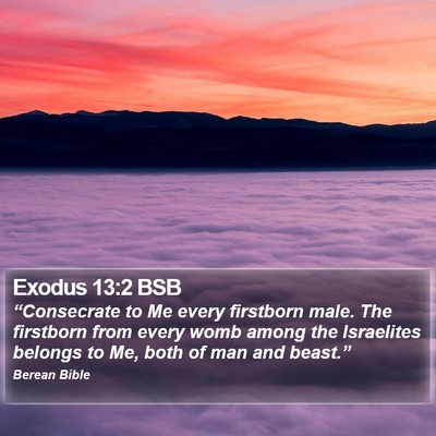Exodus 13:2 BSB Bible Verse Image
