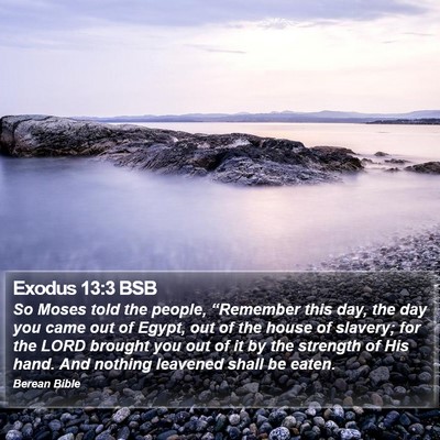 Exodus 13:3 BSB Bible Verse Image