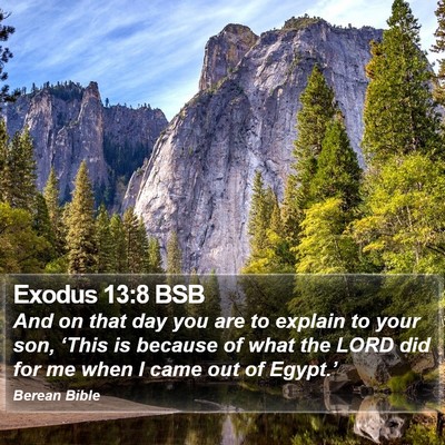 Exodus 13:8 BSB Bible Verse Image