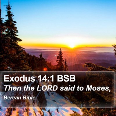 Exodus 14:1 BSB Bible Verse Image