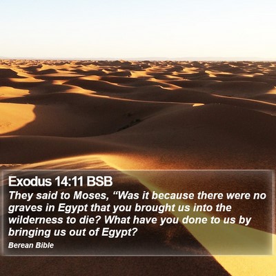 Exodus 14:11 BSB Bible Verse Image