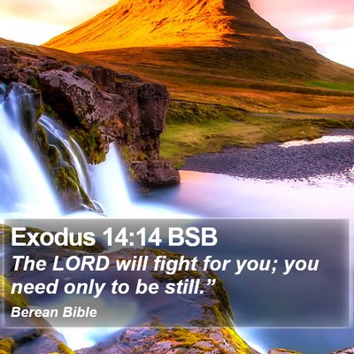 Exodus 14:14 BSB Bible Verse Image