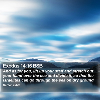 Exodus 14:16 BSB Bible Verse Image