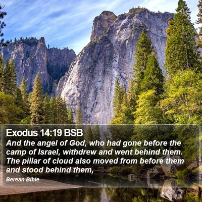 Exodus 14:19 BSB Bible Verse Image