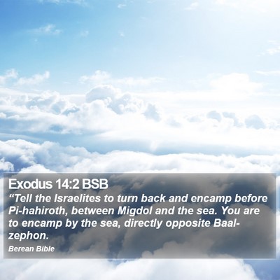 Exodus 14:2 BSB Bible Verse Image