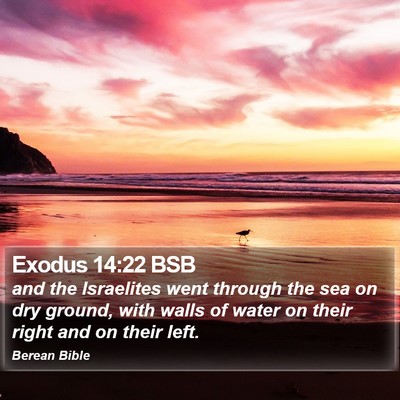 Exodus 14:22 BSB Bible Verse Image