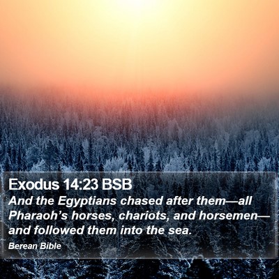 Exodus 14:23 BSB Bible Verse Image