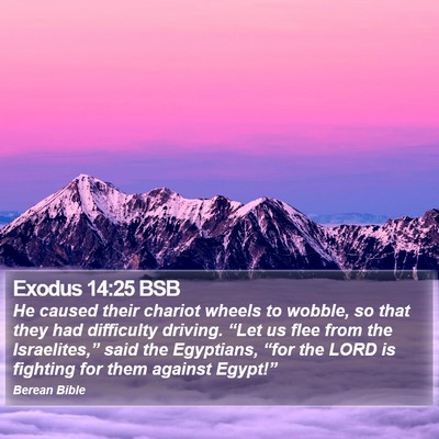 Exodus 14:25 BSB Bible Verse Image