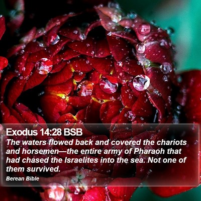 Exodus 14:28 BSB Bible Verse Image