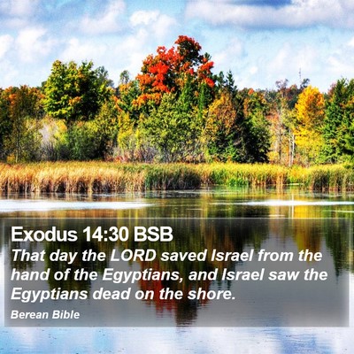 Exodus 14:30 BSB Bible Verse Image