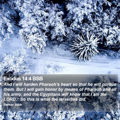 Exodus 14:4 BSB Bible Verse Image