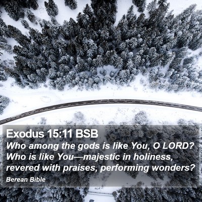 Exodus 15:11 BSB Bible Verse Image