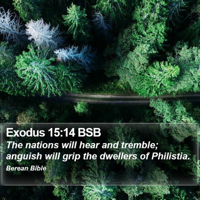 Exodus 15:14 BSB Bible Verse Image