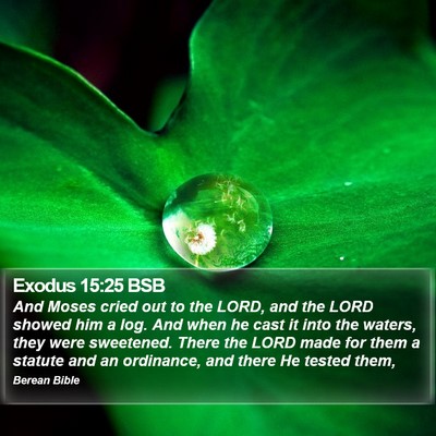 Exodus 15:25 BSB Bible Verse Image