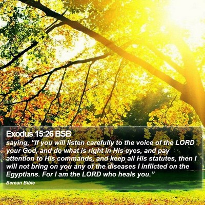 Exodus 15:26 BSB Bible Verse Image