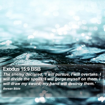 Exodus 15:9 BSB Bible Verse Image