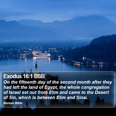 Exodus 16:1 BSB Bible Verse Image