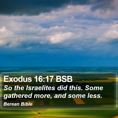 Exodus 16:17 BSB Bible Verse Image