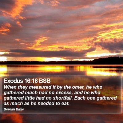 Exodus 16:18 BSB Bible Verse Image