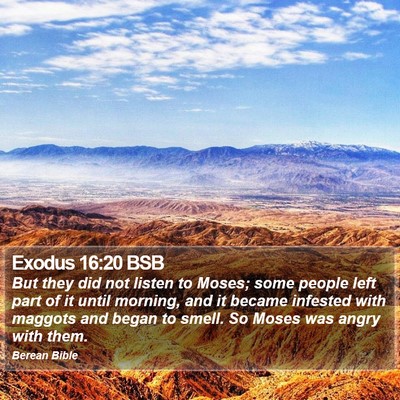 Exodus 16:20 BSB Bible Verse Image