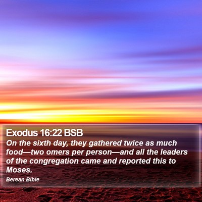 Exodus 16:22 BSB Bible Verse Image