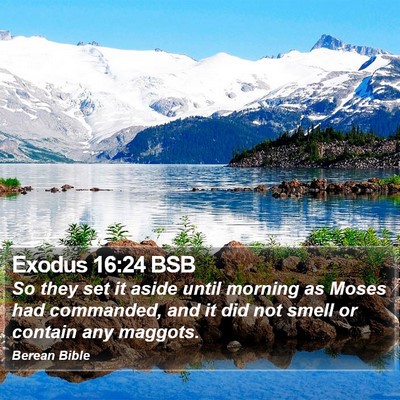 Exodus 16:24 BSB Bible Verse Image