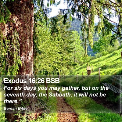 Exodus 16:26 BSB Bible Verse Image