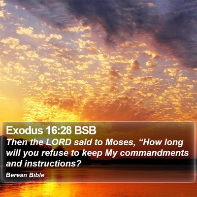 Exodus 16:28 BSB Bible Verse Image