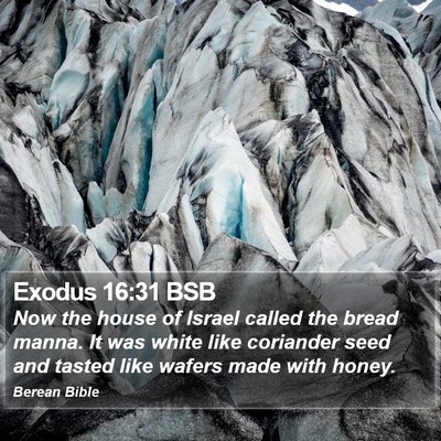 Exodus 16:31 BSB Bible Verse Image