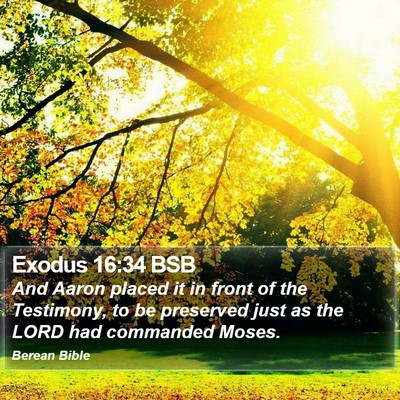 Exodus 16:34 BSB Bible Verse Image