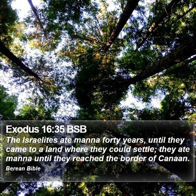 Exodus 16:35 BSB Bible Verse Image