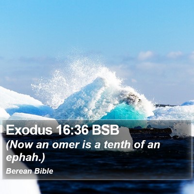 Exodus 16:36 BSB Bible Verse Image