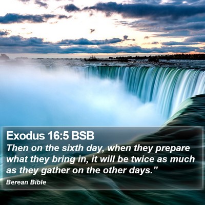 Exodus 16:5 BSB Bible Verse Image