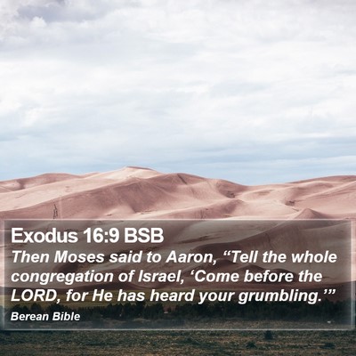 Exodus 16:9 BSB Bible Verse Image