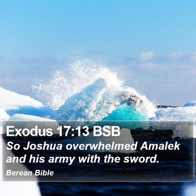 Exodus 17:13 BSB Bible Verse Image