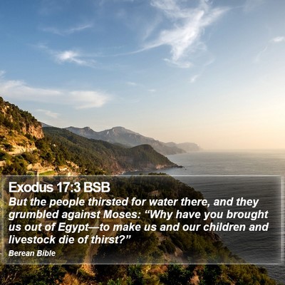 Exodus 17:3 BSB Bible Verse Image
