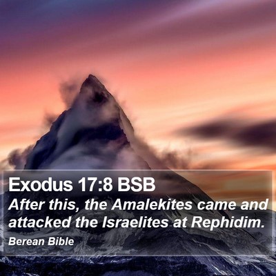 Exodus 17:8 BSB Bible Verse Image