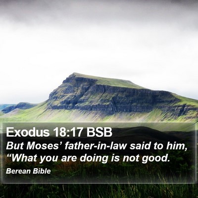 Exodus 18:17 BSB Bible Verse Image