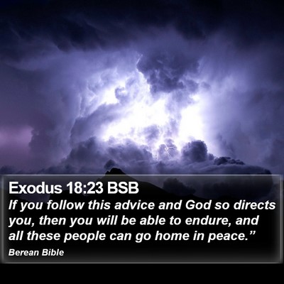 Exodus 18:23 BSB Bible Verse Image