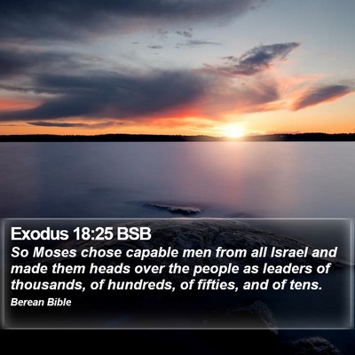 Exodus 18:25 BSB Bible Verse Image