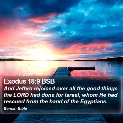 Exodus 18:9 BSB Bible Verse Image