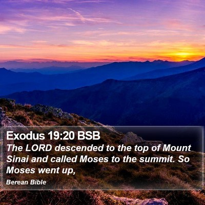 Exodus 19:20 BSB Bible Verse Image