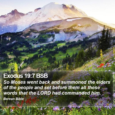 Exodus 19:7 BSB Bible Verse Image