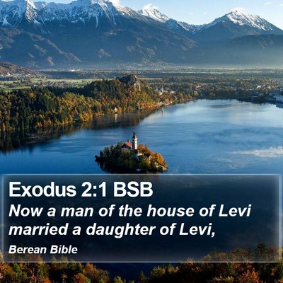 Exodus 2:1 BSB Bible Verse Image